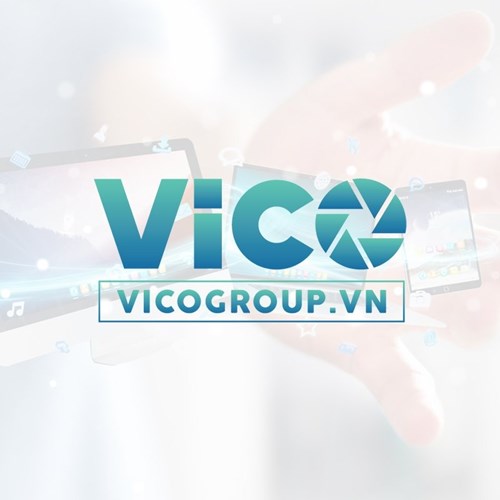 Entity - VICOGROUP 
