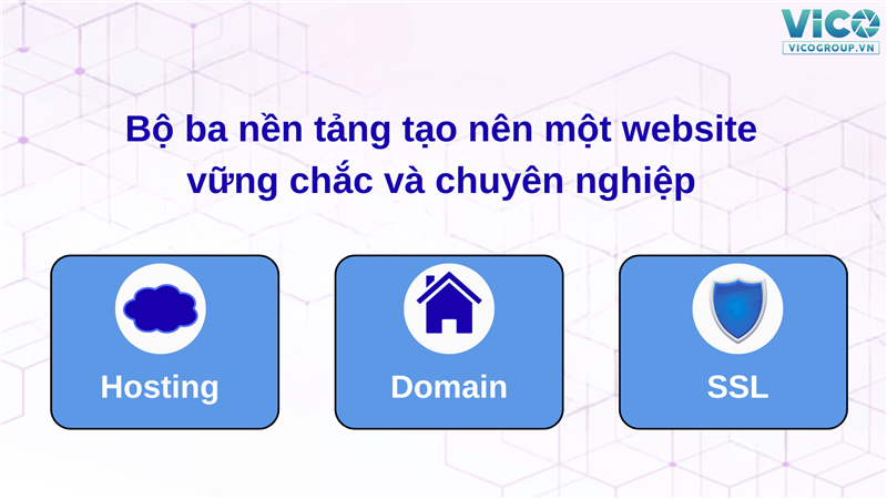 Hosting, Domain, SSL – Bộ ba nền tảng tạo nên một website vững chắc và chuyên nghiệp