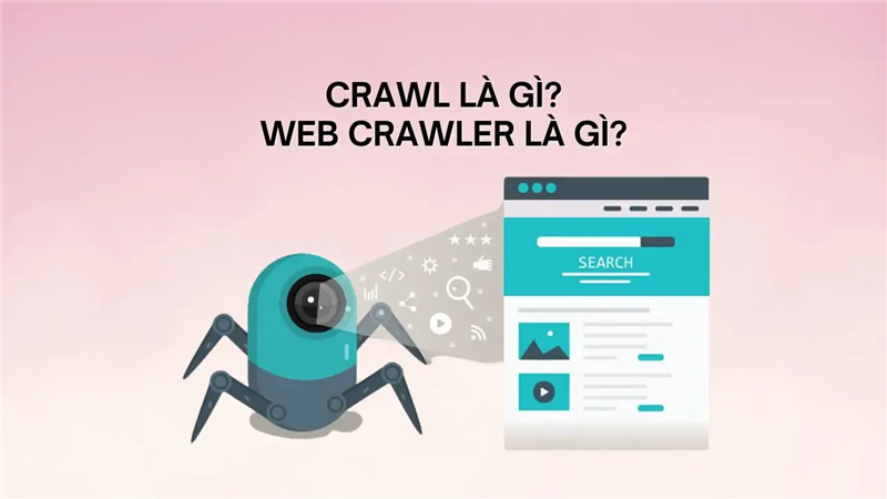 Web Crawler là gì? Những yếu tố quan trọng ảnh hưởng đến khả năng crawl website