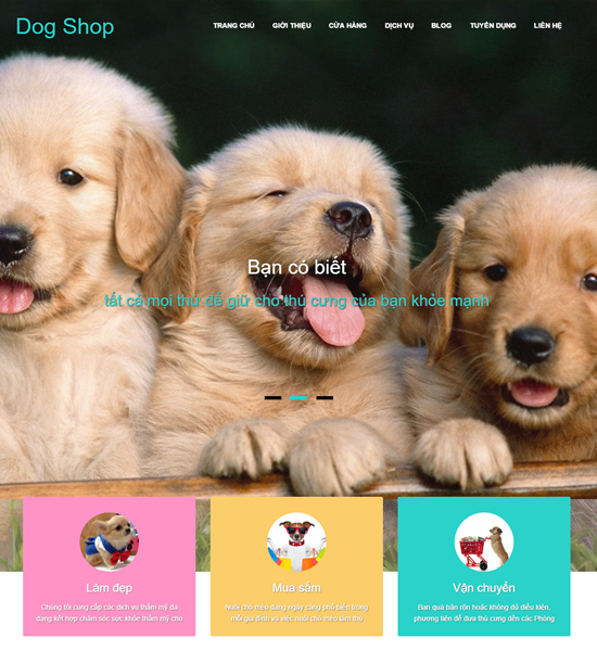 Thiết kế website bán thú cưng
