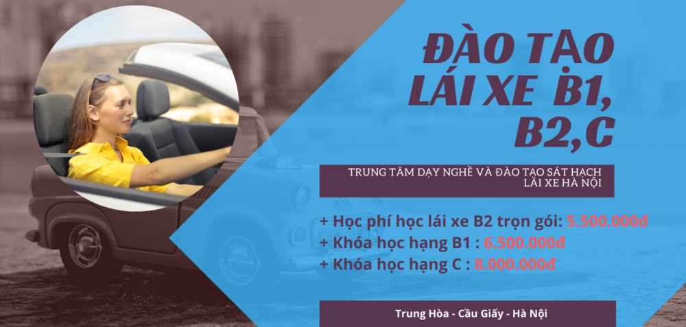 Thiết kế website làm bằng lái xe trung tâm đào tạo lái ô tô xe máy