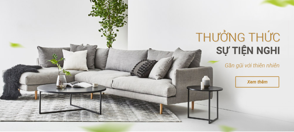 Thiết kế website bán bàn ghế sofa