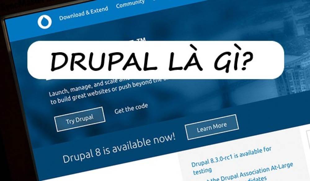 Drupal là gì? Tính năng và các lợi ích khi thiết kế web bằng Drupa?