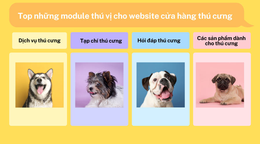 Thiết kế website chăm sóc thú cưng
