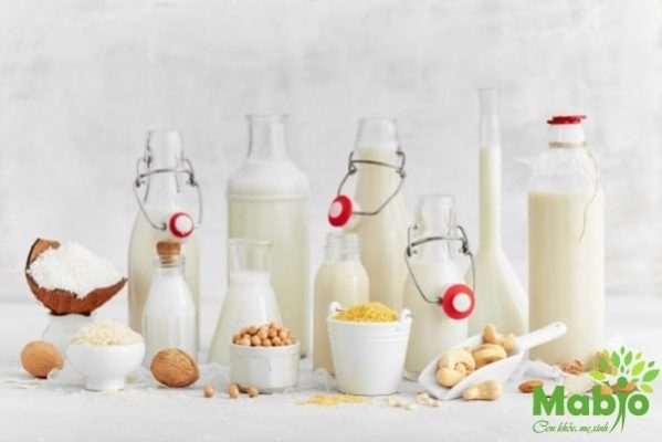 Thiết kế website công ty sữa